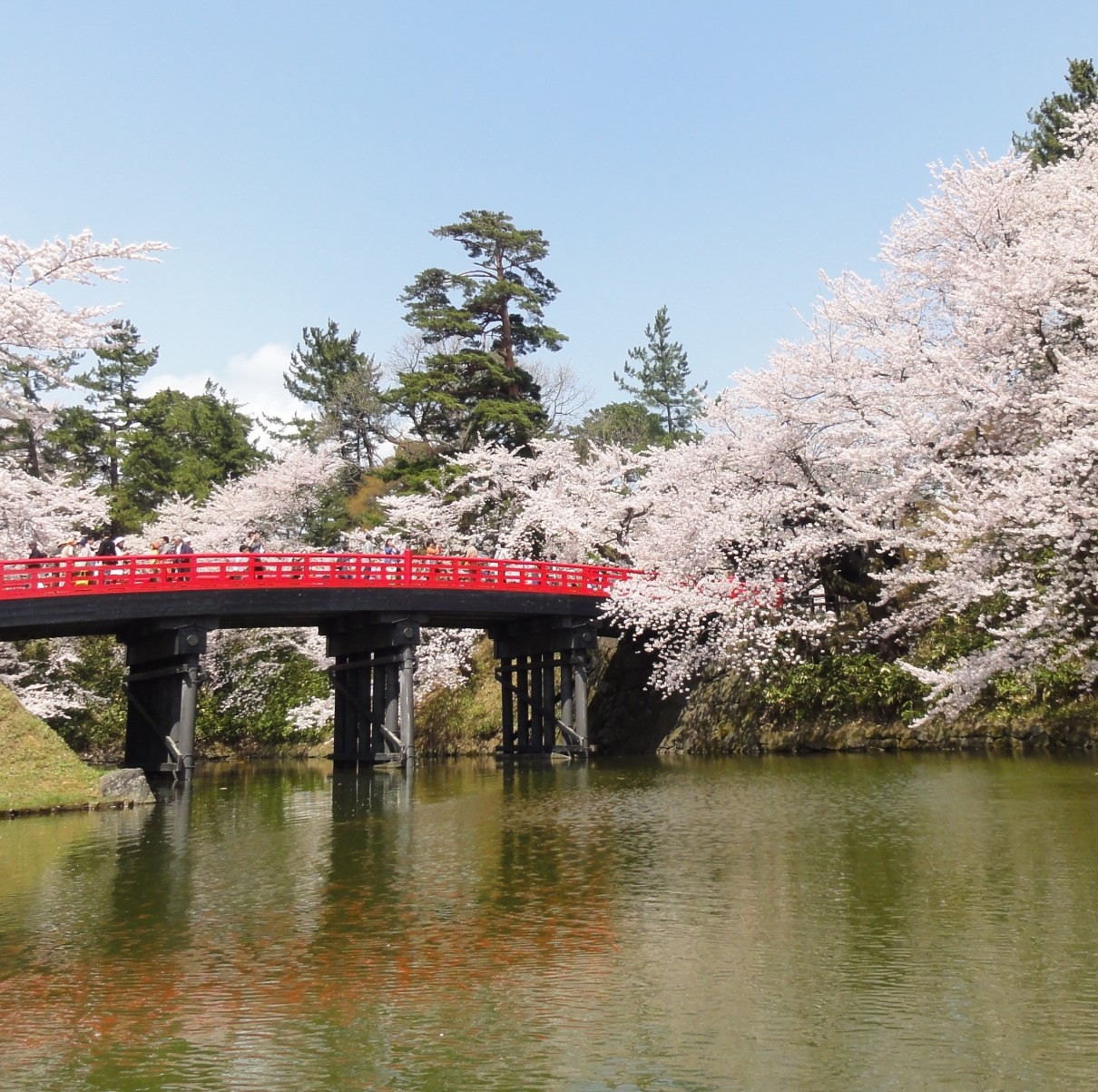 Portal-Japan 日本全国(47都道府県、1790市区町村)の総合ポータルサイト「ポータルジャパン」「ひるなび」「ポータルサイト」「全国版情報ポータルサイト」「hirunabi」 青森県青森市