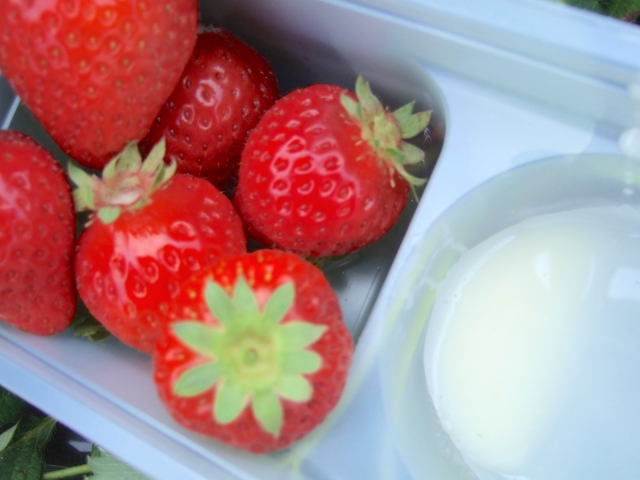 Portal-Japan 日本全国(47都道府県、1790市区町村)の総合ポータルサイト「ポータルジャパン」「ひるなび」「ポータルサイト」「全国版情報ポータルサイト」「hirunabi」 神奈川県