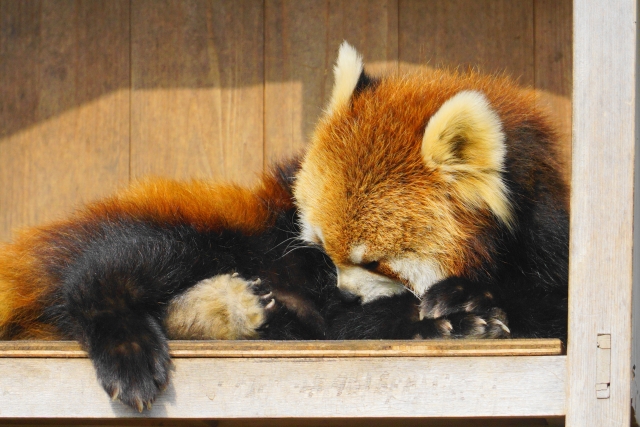 Portal-Japan 日本全国(47都道府県、1790市区町村)の総合ポータルサイト「ポータルジャパン」「ひるなび」「ポータルサイト」「全国版情報ポータルサイト」「hirunabi」 神奈川県横浜市西区