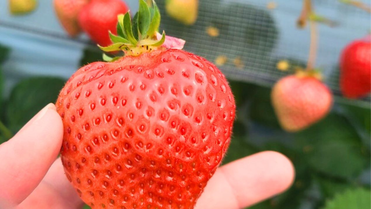 Portal-Japan 日本全国(47都道府県、1790市区町村)の総合ポータルサイト「ポータルジャパン」「ひるなび」「ポータルサイト」「全国版情報ポータルサイト」「hirunabi」 神奈川県横浜市戸塚区