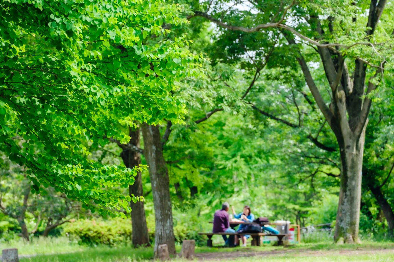 Portal-Japan 日本全国(47都道府県、1790市区町村)の総合ポータルサイト「ポータルジャパン」「ひるなび」「ポータルサイト」「全国版情報ポータルサイト」「hirunabi」 神奈川県