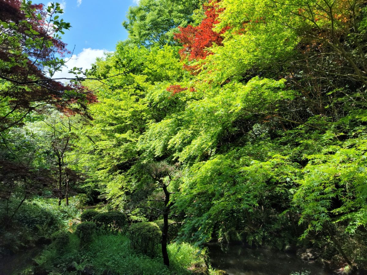 Portal-Japan 日本全国(47都道府県、1790市区町村)の総合ポータルサイト「ポータルジャパン」「ひるなび」「ポータルサイト」「全国版情報ポータルサイト」「hirunabi」 神奈川県川崎市宮前区