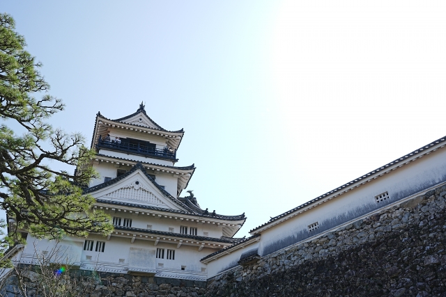 Portal-Japan 日本全国(47都道府県、1790市区町村)の総合ポータルサイト「ポータルジャパン」「ひるなび」「ポータルサイト」「全国版情報ポータルサイト」「hirunabi」 高知県