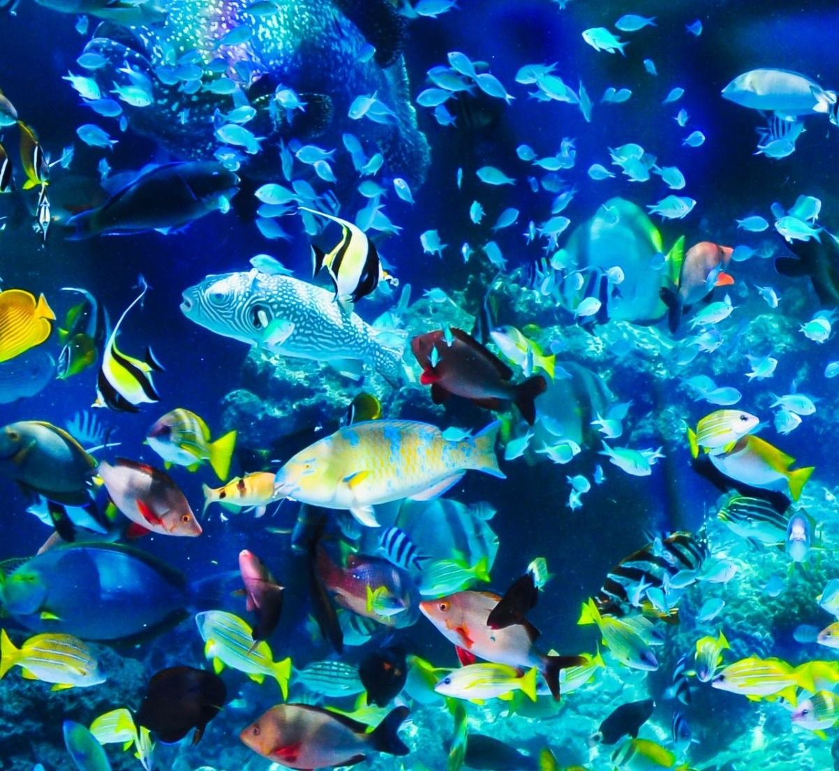 Portal-Japan 日本全国(47都道府県、1790市区町村)の総合ポータルサイト「ポータルジャパン」「ひるなび」「ポータルサイト」「全国版情報ポータルサイト」「hirunabi」 宮城県仙台市宮城野区