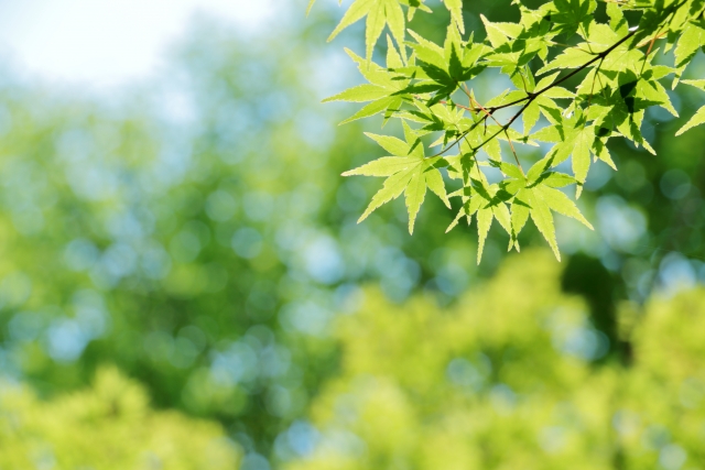 Portal-Japan 日本全国(47都道府県、1790市区町村)の総合ポータルサイト「ポータルジャパン」「ひるなび」「ポータルサイト」「全国版情報ポータルサイト」「hirunabi」 宮城県仙台市若林区