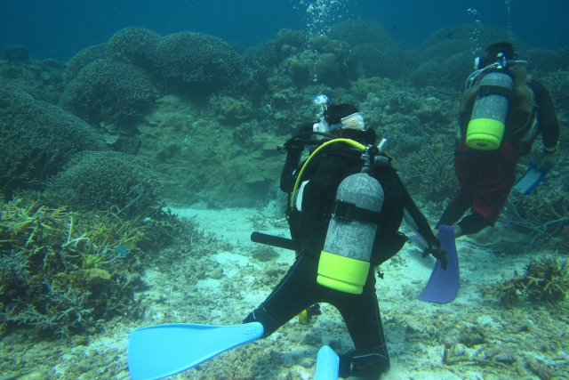 Portal-Japan 日本全国(47都道府県、1790市区町村)の総合ポータルサイト「ポータルジャパン」「ひるなび」「ポータルサイト」「全国版情報ポータルサイト」「hirunabi」 東京都足立区