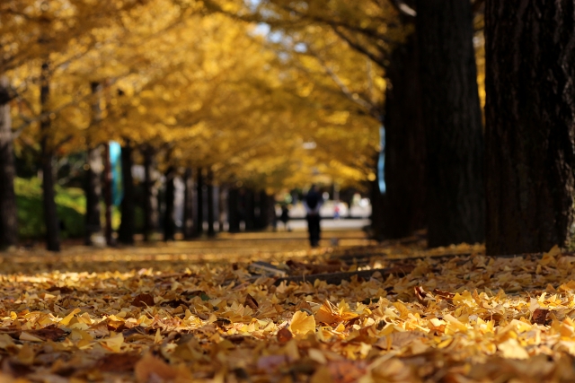 Portal-Japan 日本全国(47都道府県、1790市区町村)の総合ポータルサイト「ポータルジャパン」「ひるなび」「ポータルサイト」「全国版情報ポータルサイト」「hirunabi」 東京都昭島市