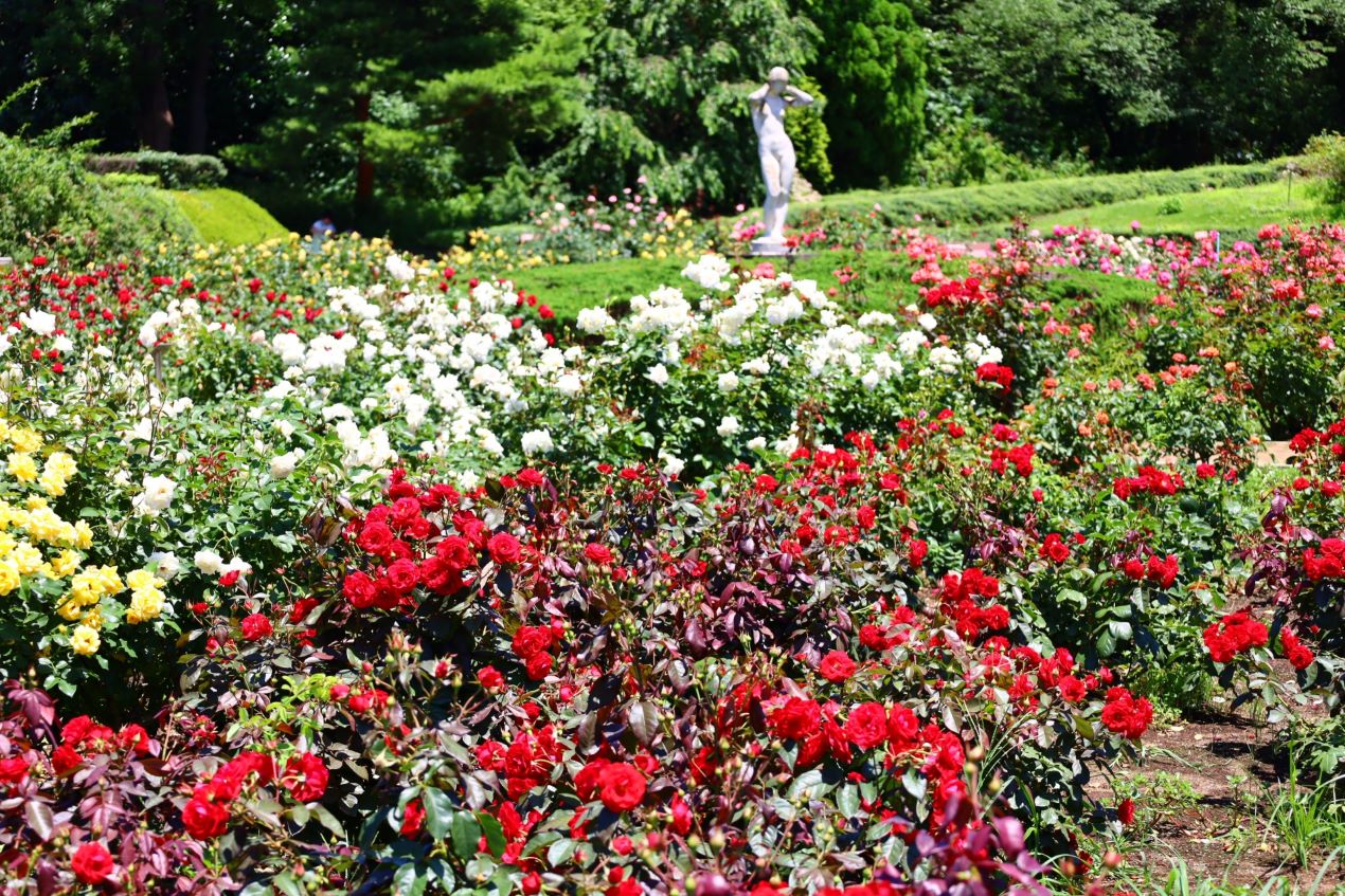 Portal-Japan 日本全国(47都道府県、1790市区町村)の総合ポータルサイト「ポータルジャパン」「ひるなび」「ポータルサイト」「全国版情報ポータルサイト」「hirunabi」 東京都調布市