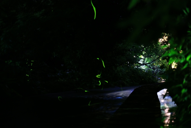 Portal-Japan 日本全国(47都道府県、1790市区町村)の総合ポータルサイト「ポータルジャパン」「ひるなび」「ポータルサイト」「全国版情報ポータルサイト」「hirunabi」 東京都福生市