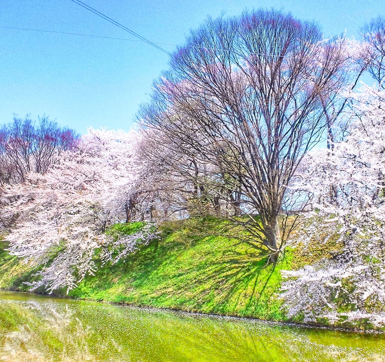 Portal-Japan 日本全国(47都道府県、1790市区町村)の総合ポータルサイト「ポータルジャパン」「ひるなび」「ポータルサイト」「全国版情報ポータルサイト」「hirunabi」 山形県山形市